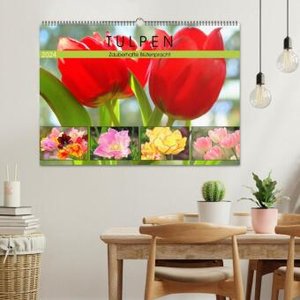 Tulpen. Zauberhafte Blütenpracht (Wandkalender 2024 DIN A2 quer), CALVENDO Monatskalender