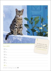 Katzenglück Wochenkalender 2023