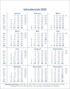 Dumme Sprüche für jeden Anlass Tagesabreißkalender 2025