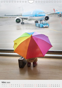 Travelling Teddy liebt es Bunt (Wandkalender 2023 DIN A4 hoch)