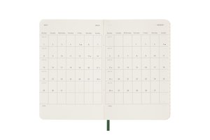 Moleskine 12 Monate Tageskalender 2024, Pocket/A6, Myrtengrün