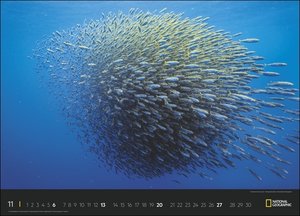 Wunder der Meere - Oceans Edition National Geographic Kalender 2022