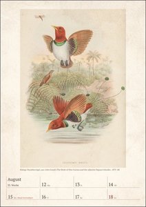 Bunte Vogelwelt Wochenplaner 2024: 53 historische Tafeln mit Vogeldarstellungen in einem hochwertigen Wandkalender. Tierkalender 2024 für kunstbegeisterte Vogelliebhaber