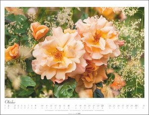 Im duftenden Rosengarten Kalender 2022