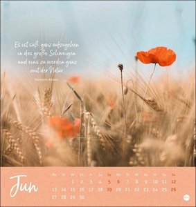 Ich wünsch dir ... stille Momente Postkartenkalender 2022
