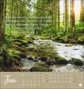 Unser Wald Postkartenkalender 2023