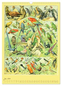 Prächtige Naturtafeln (Wandkalender 2024 DIN A3 hoch), CALVENDO Monatskalender