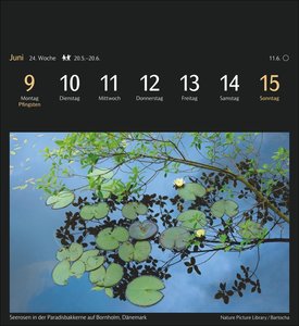 Magic Nature Postkartenkalender Kalender 2025 - Kalender mit 53 Postkarten