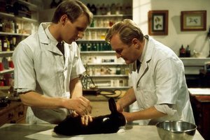 Der Doktor und das liebe Vieh