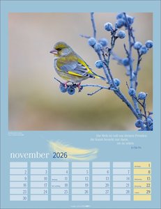 Heimische Vögel Kalender 2026