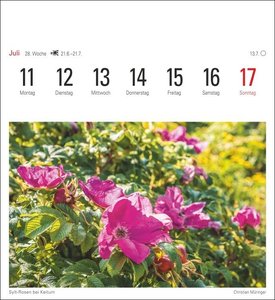 Sylt Kalender 2022