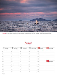 Hurtigruten - KUNTH Tischkalender 2025