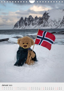 Travelling Teddy liebt es Bunt (Wandkalender 2023 DIN A4 hoch)