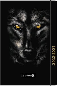 Schülerkalender 2022/2023 Wolf, A6