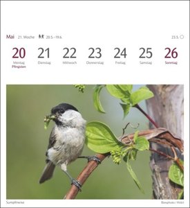 Heimische Vögel Postkartenkalender 2024. Wochenkalender im Postkarten-Format mit Vogelporträts. Tischkalender mit wöchentlich neuen Postkarten zum Sammeln und Verschicken