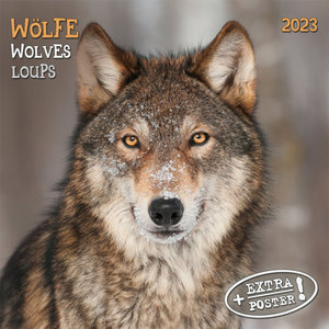 Wolves/Wölfe 2023