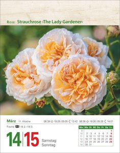 Mein Garten Tagesabreißkalender 2026