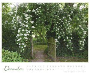 Im Rosengarten 2025 - DUMONT Garten-Kalender - Querformat 52 x 42,5 cm - Spiralbindung