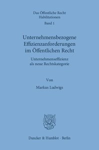 Unternehmensbezogene Effizienzanforderungen im Öffentlichen Recht.