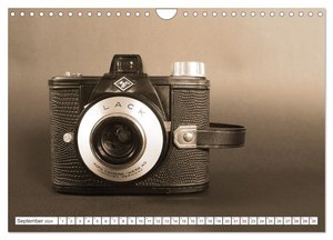 Fotokameras - alt und schön (Wandkalender 2024 DIN A4 quer), CALVENDO Monatskalender