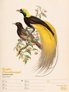 Wunderbare Vogelwelt - Wochenplaner Kalender 2023
