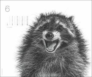 Black & White Animals 2024. Stars der Tierwelt in einem Fotokunst-Kalender! Großer Wandkalender für Tier-Freunde - hochwertige Aufnahmen in Schwarz-Weiß