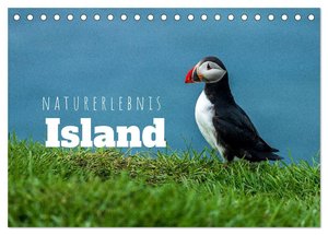 Naturerlebnis Island (Tischkalender 2024 DIN A5 quer), CALVENDO Monatskalender