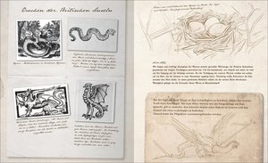 Atlas der (fast) verschwundenen Fabelwesen. Die sagenhafte Expedition des Konstantin O. Boldt