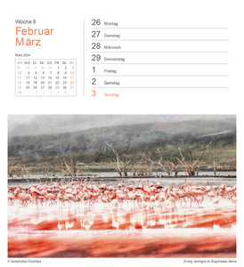 Farben der Erde - KUNTH Postkartenkalender 2024