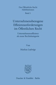 Unternehmensbezogene Effizienzanforderungen im Öffentlichen Recht.