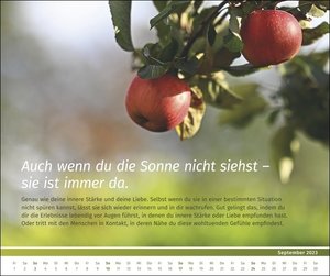 PAL-Lebensfreude-Inspirationen-Kalender 2023: Wandkalender ,zum Aufhängen, wunderschöne Landschaftsmotive mit motivierenden und ,positiven Gedanken. 56 x 45cm