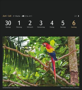 Magic Nature Postkartenkalender Kalender 2025 - Kalender mit 53 Postkarten