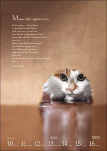 Literaturkalender Katzen Wochen-Kulturkalender 2023. 53 Katzenporträts und katzenverliebte Literaturauszüge in einem Wochenkalender 2023. Dekorativer Kalender für Katzenliebhaber.