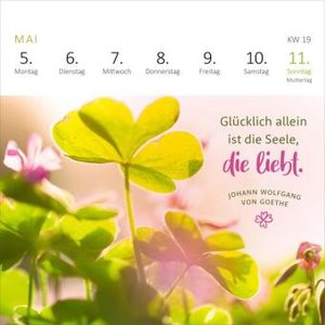 Mini-Wochenkalender Ein Jahr voll Glück 2025