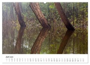 Mythos Amazonas - Naturparadies Brasiliens (Wandkalender 2024 DIN A2 quer), CALVENDO Monatskalender