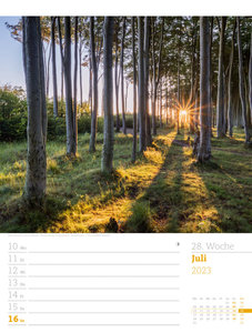 Unser Wald - Wochenplaner Kalender 2023