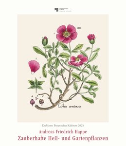 DuMonts Botanisches Kabinett – Zauberhafte Heil- und Gartenpflanzen – Illustriert von F.A. Happe – Kunstkalender 2025 – Wandkalender im Hochformat 34,5 x 40 cm