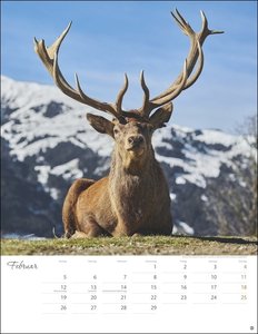 Schönes Alpenland Posterkalender 2024. Beeindruckender Fotokalender mit traumhaften Berglandschaften. Wand-Kalender 2024 für Bergfreunde und Naturliebhaber.