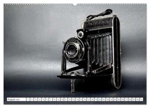 Balgen- und Boxkameras - Analoge Erinnerungsstücke (Wandkalender 2024 DIN A2 quer), CALVENDO Monatskalender