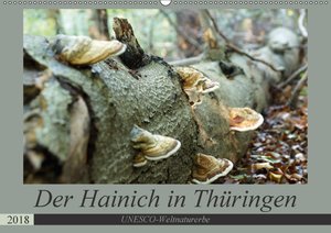 Der Hainich in Thüringen -  Weltnaturerbe