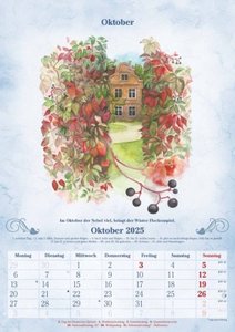 100-jähriger Kalender 2025 - Bildkalender A3 (29,7x42 cm) - mit Feiertagen (DE/AT/CH) und Platz für Notizen - inkl. Bauernregeln - Wandkalender