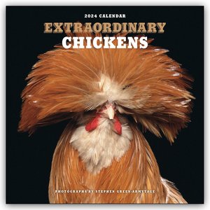 Extraordinary Chickens 2024