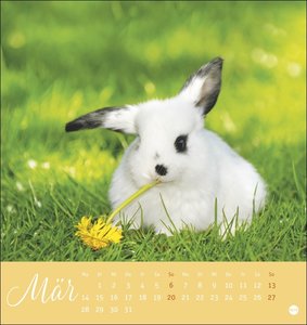 Süße Kaninchen Postkartenkalender 2022