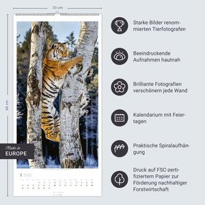 Big Cats Kalender 2026