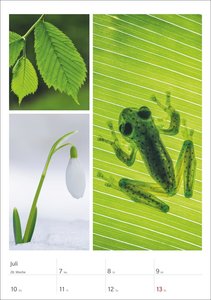 Magie der Farben Wochenplaner 2025