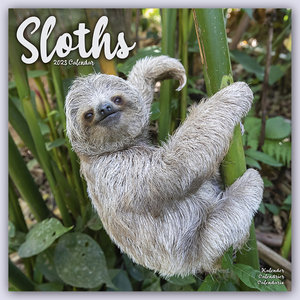 Sloths - Faultiere 2023 - 16-Monatskalender