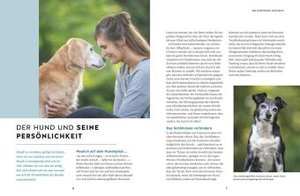 Wie ich meinen Hund endlich verstehe