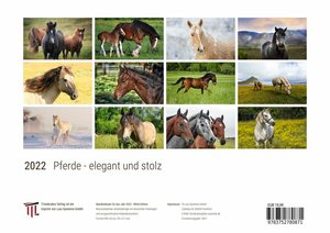 Pferde - elegant und stolz 2022 - White Edition - Timokrates Kalender, Wandkalender, Bildkalender - DIN A4 (ca. 30 x 21 cm)