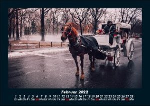 Pferde Kalender 2022 Fotokalender DIN A5
