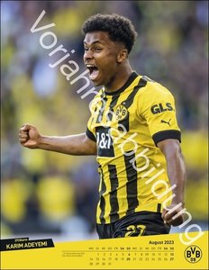 BVB Posterkalender. Jahres-Wandkalender 2024 für Fußballfans. Fotokalender mit den Stars von Borussia Dortmund. Kalender im Hochformat 34 x 44 cm.